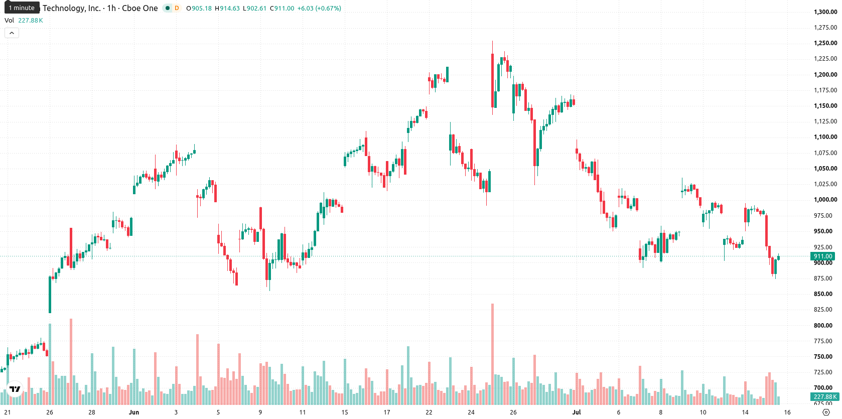 Micron Technology asset chart