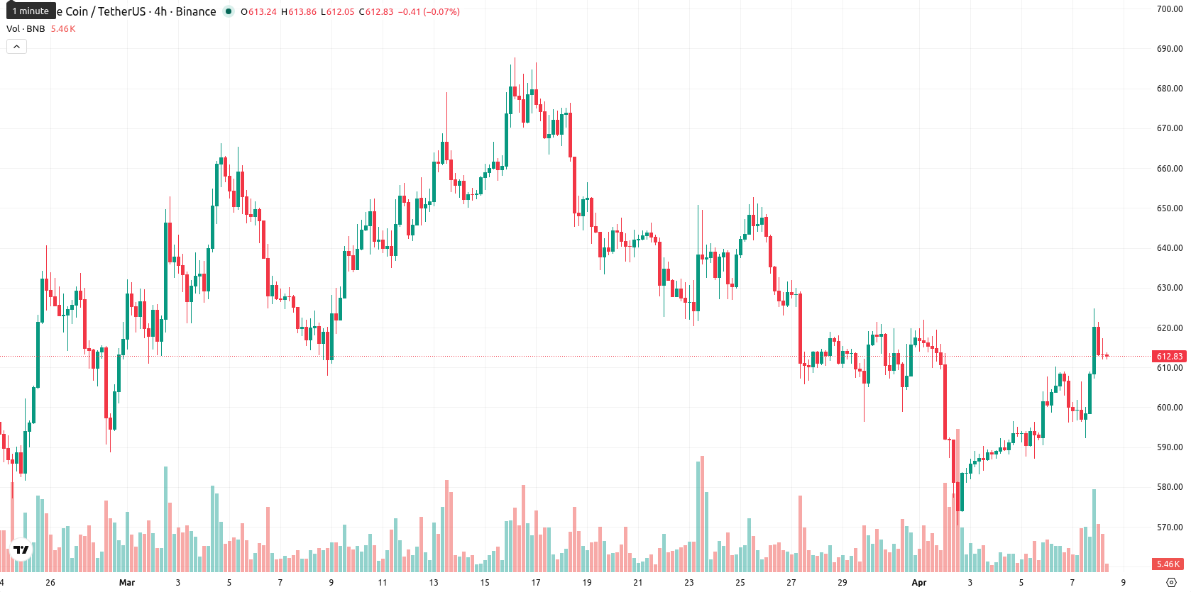 Binance Coin asset chart