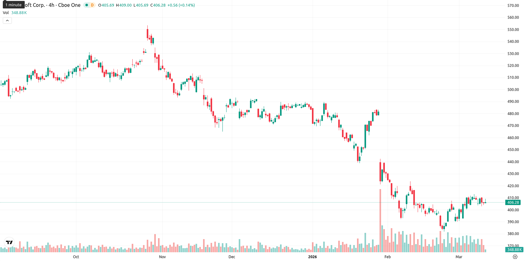 Microsoft Corp asset chart