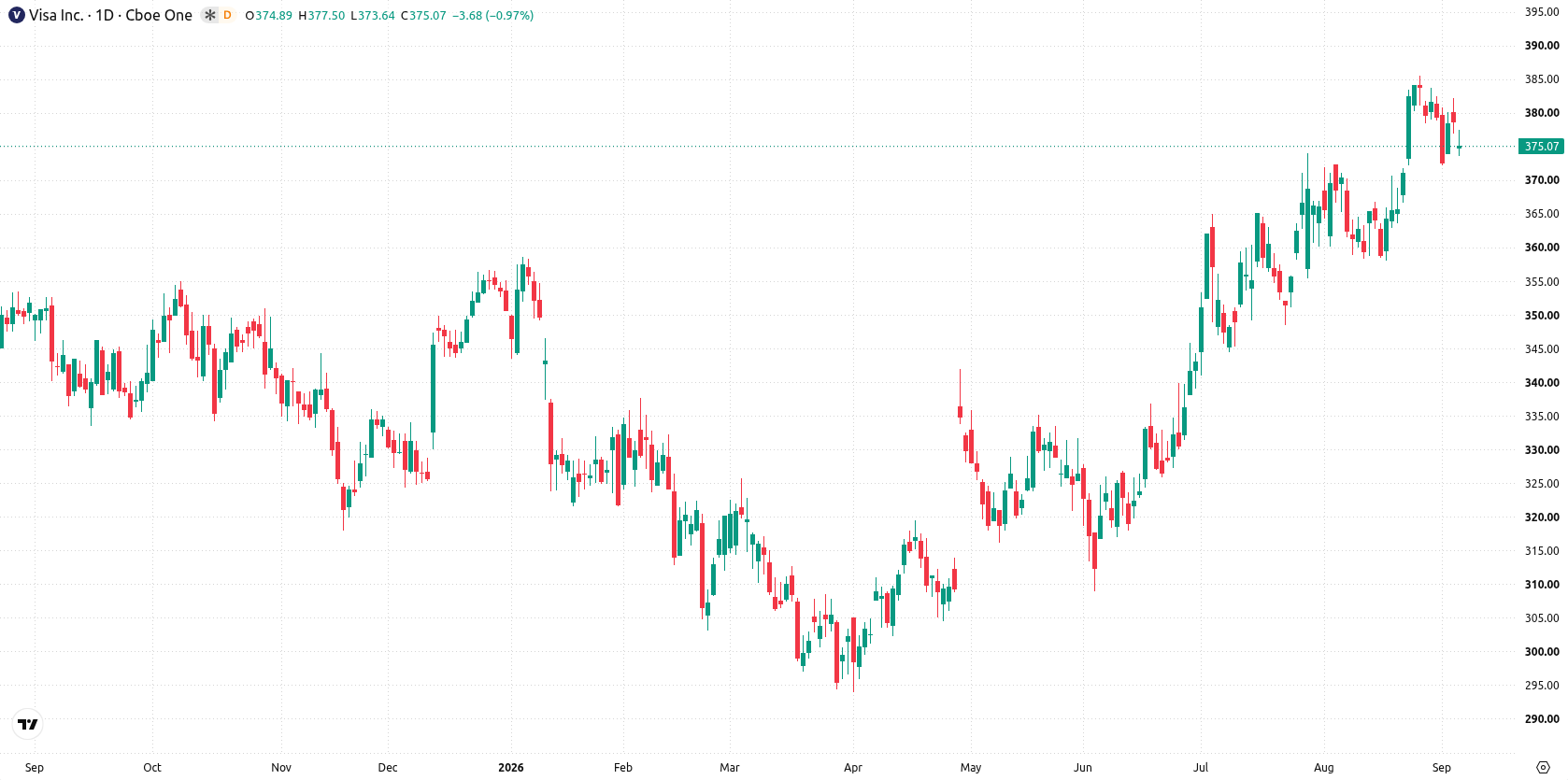 Visa Inc. asset chart