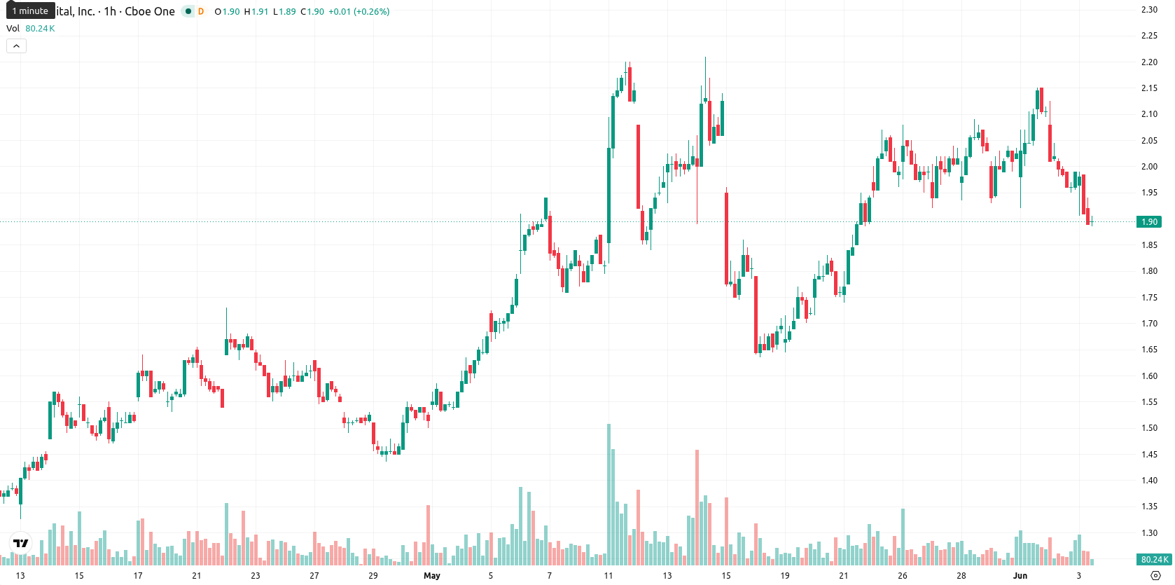 Bit Digital Inc. asset chart