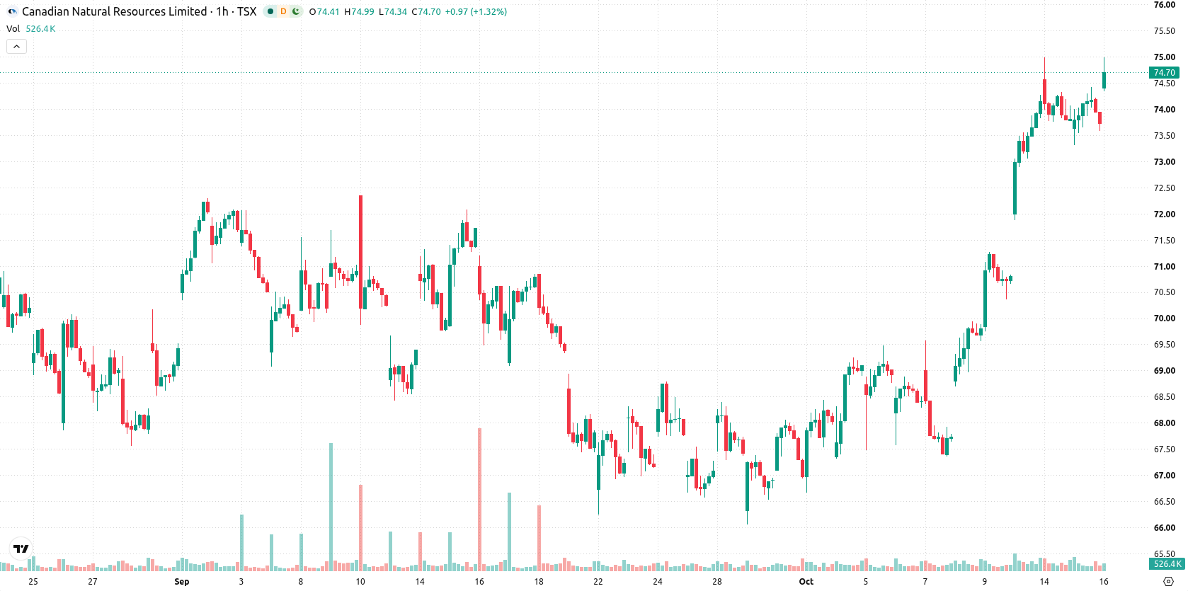 Canadian Natural Resources Limited asset chart