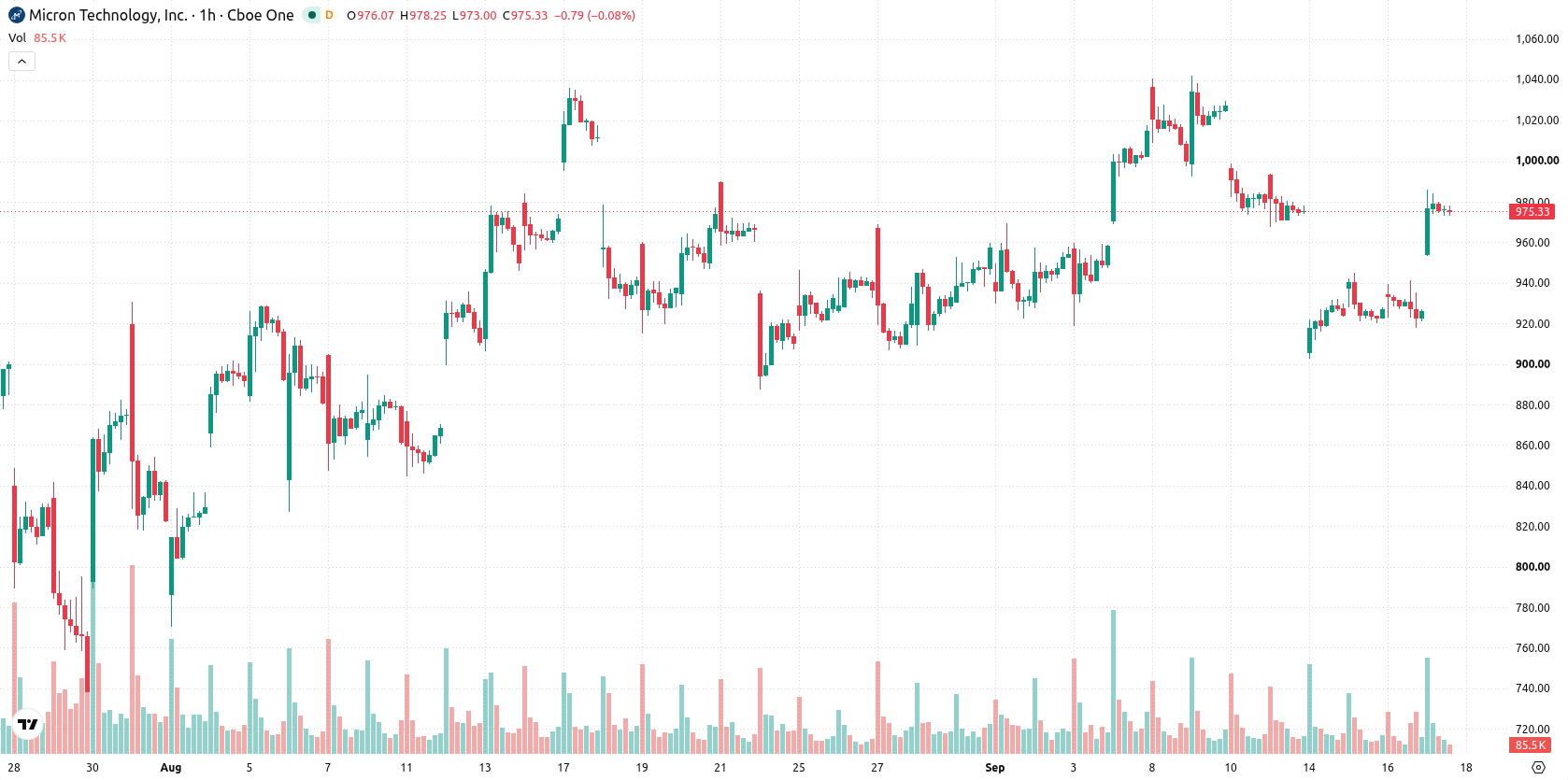 Micron Technology asset chart