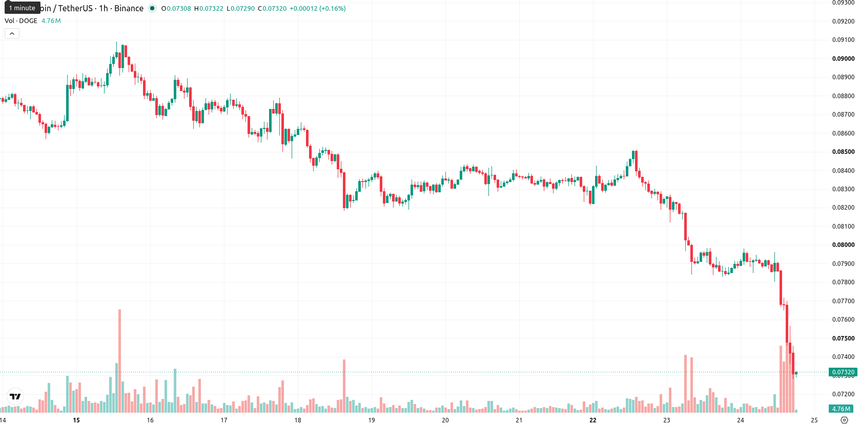 Dogecoin asset chart