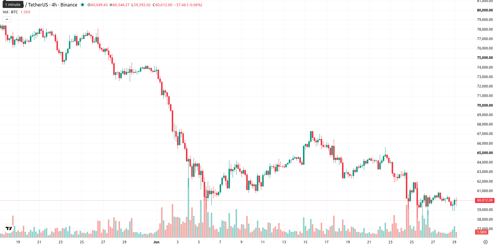 Bitcoin asset chart