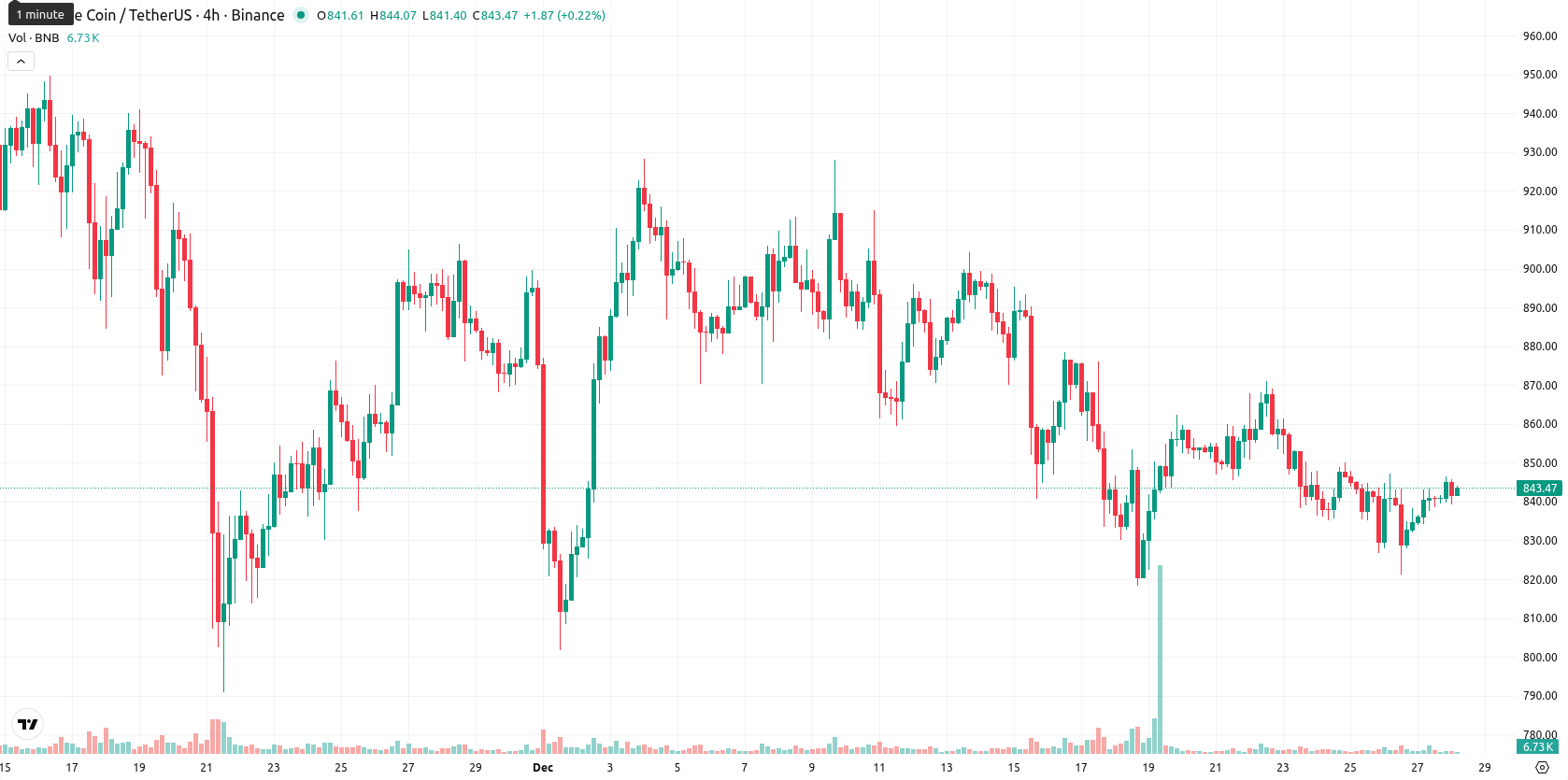 Binance Coin asset chart