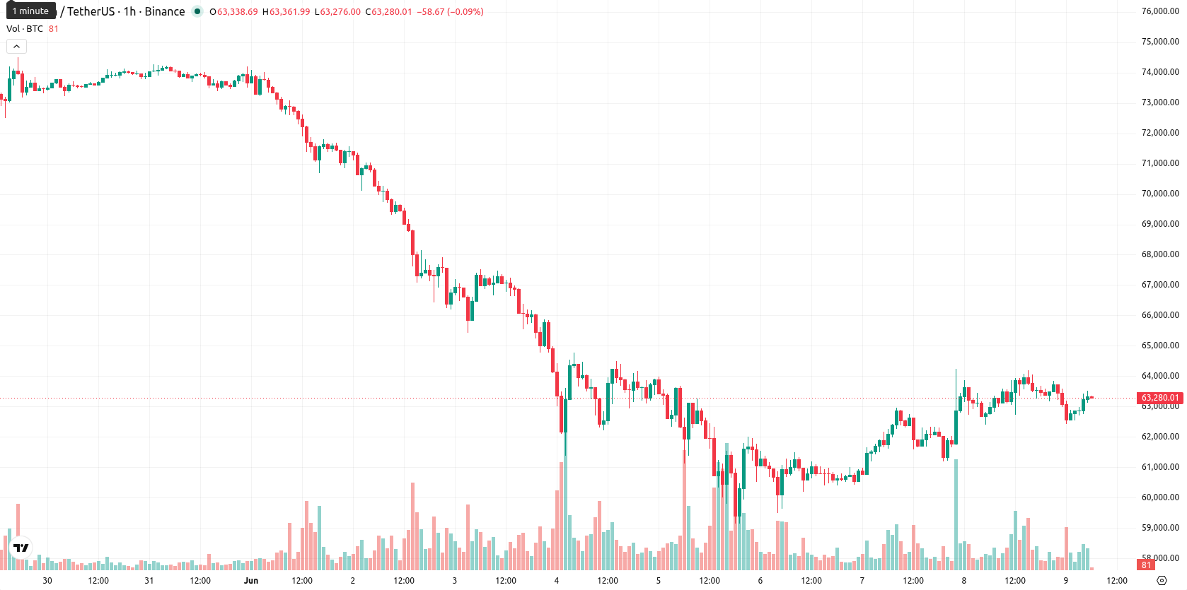 Bitcoin asset chart