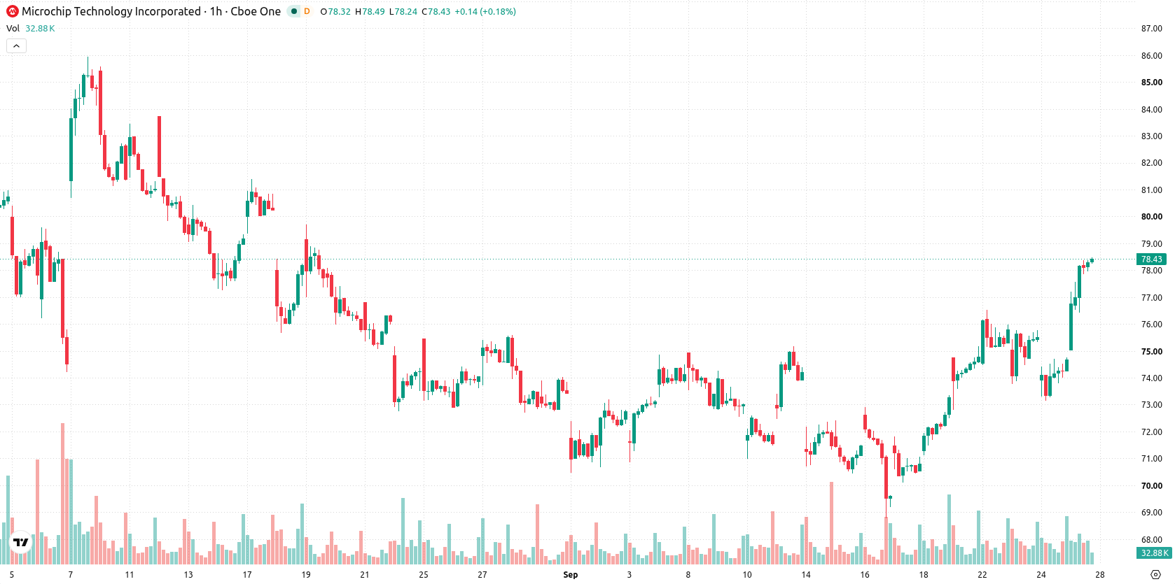 Microchip Technology Inc asset chart