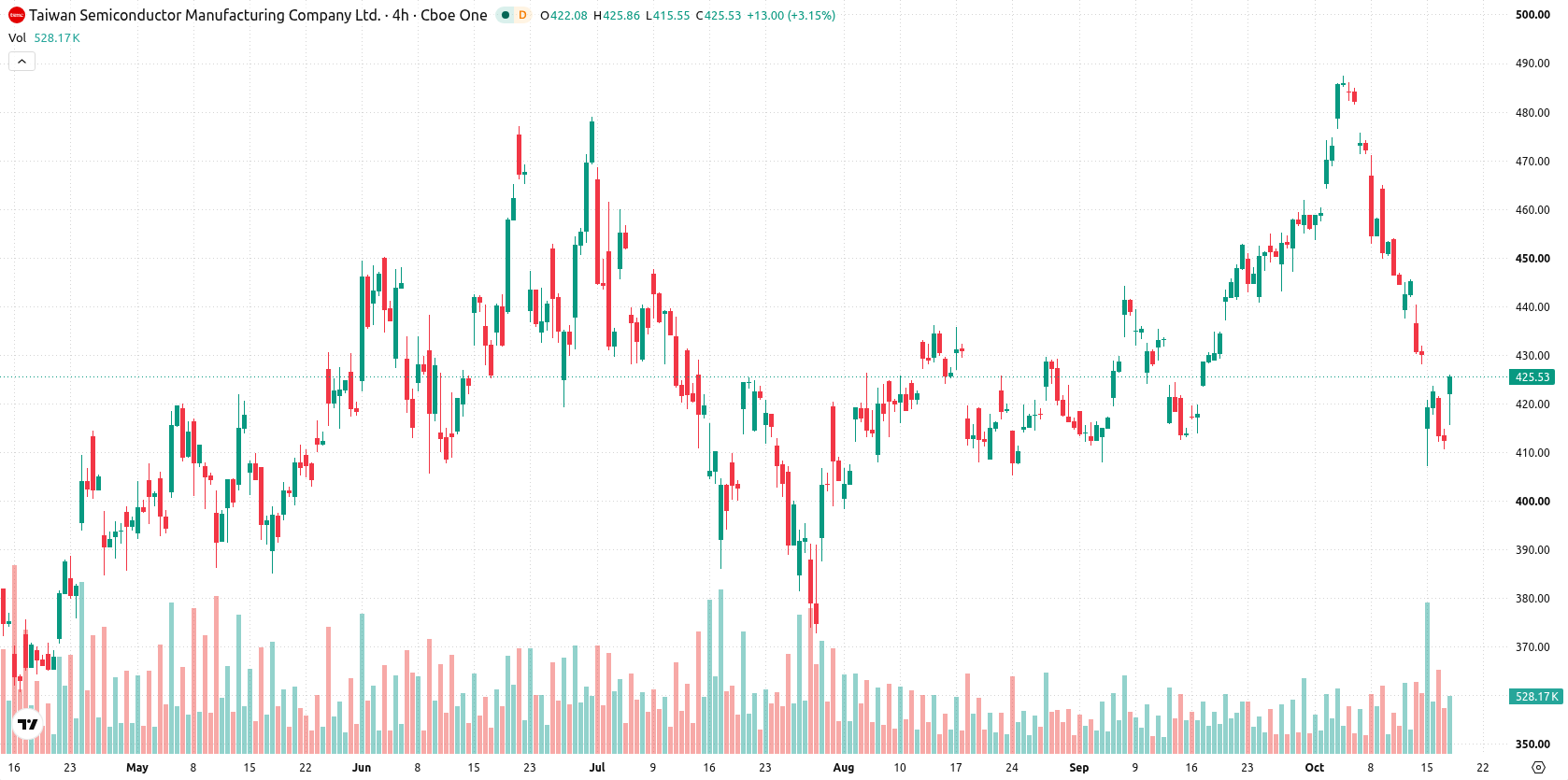 TSMC asset chart
