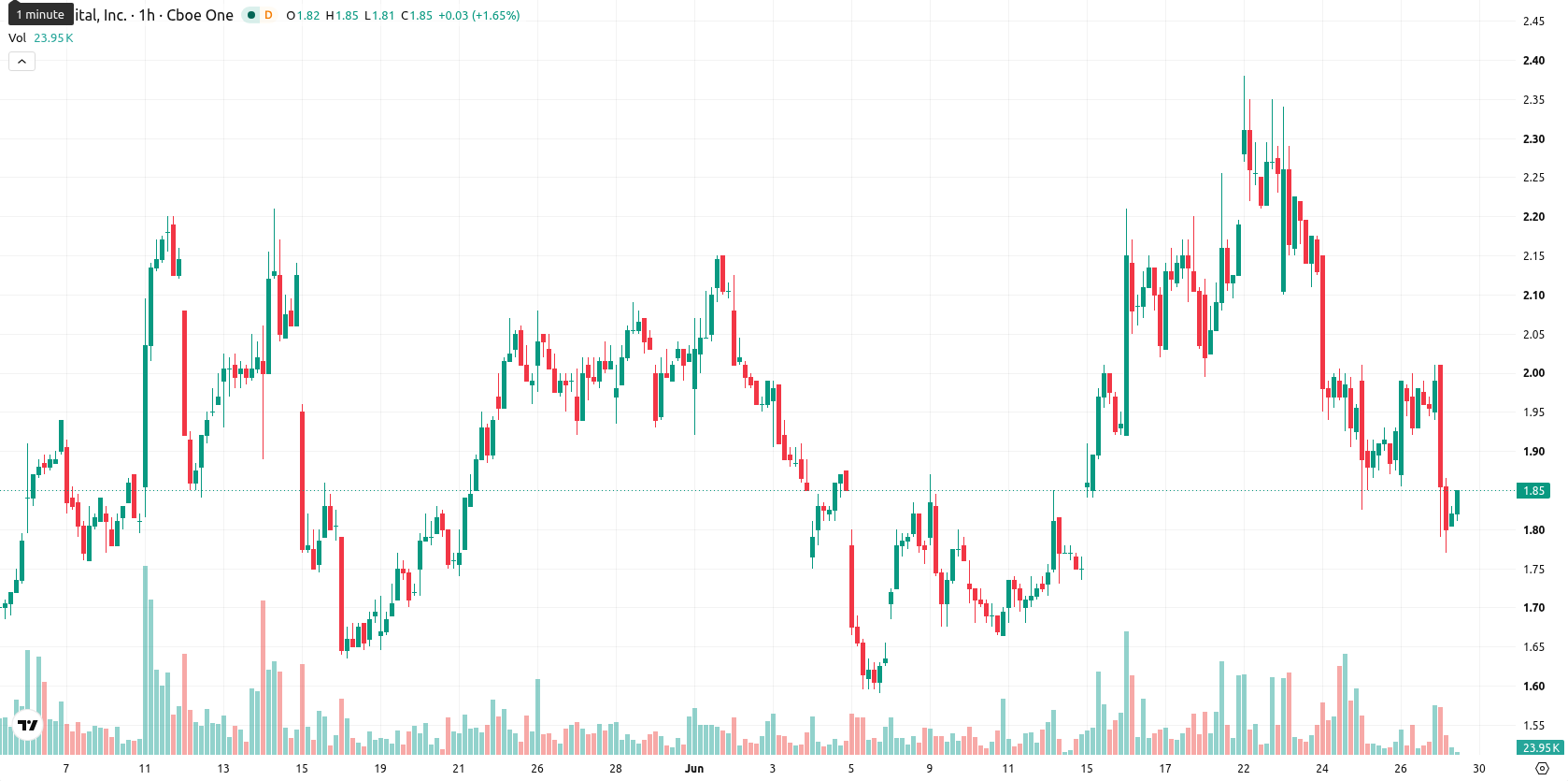 Bit Digital Inc. asset chart