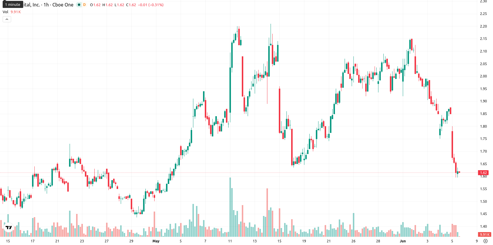 Bit Digital Inc. asset chart