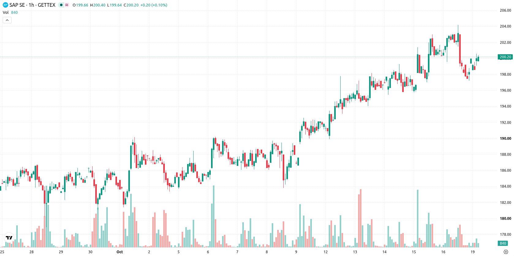SAP SE asset chart