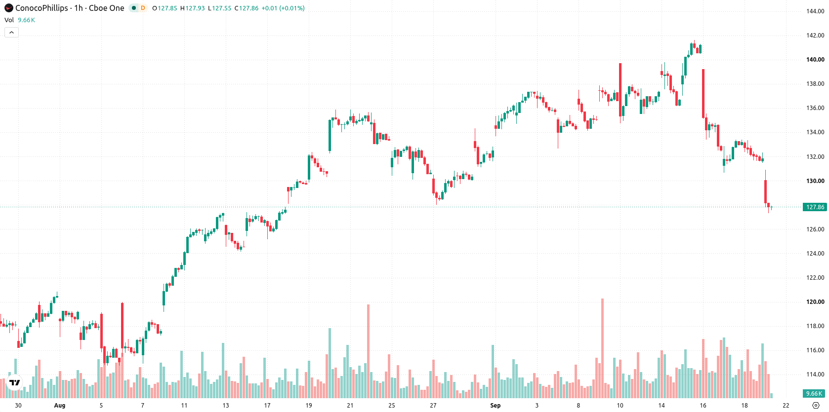 ConocoPhillips asset chart