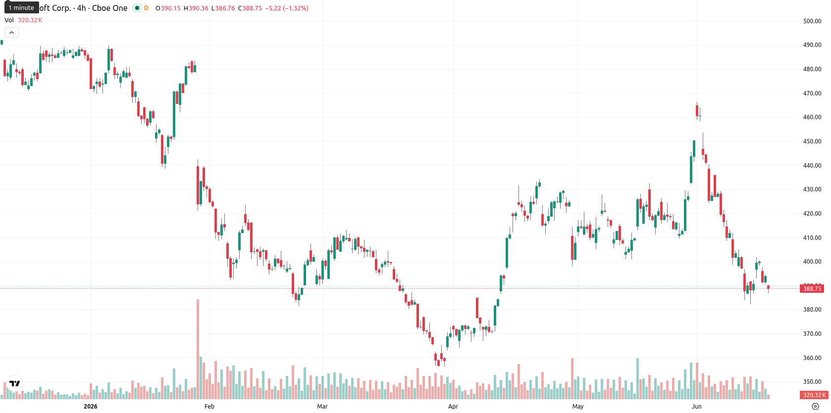 Microsoft Corp asset chart