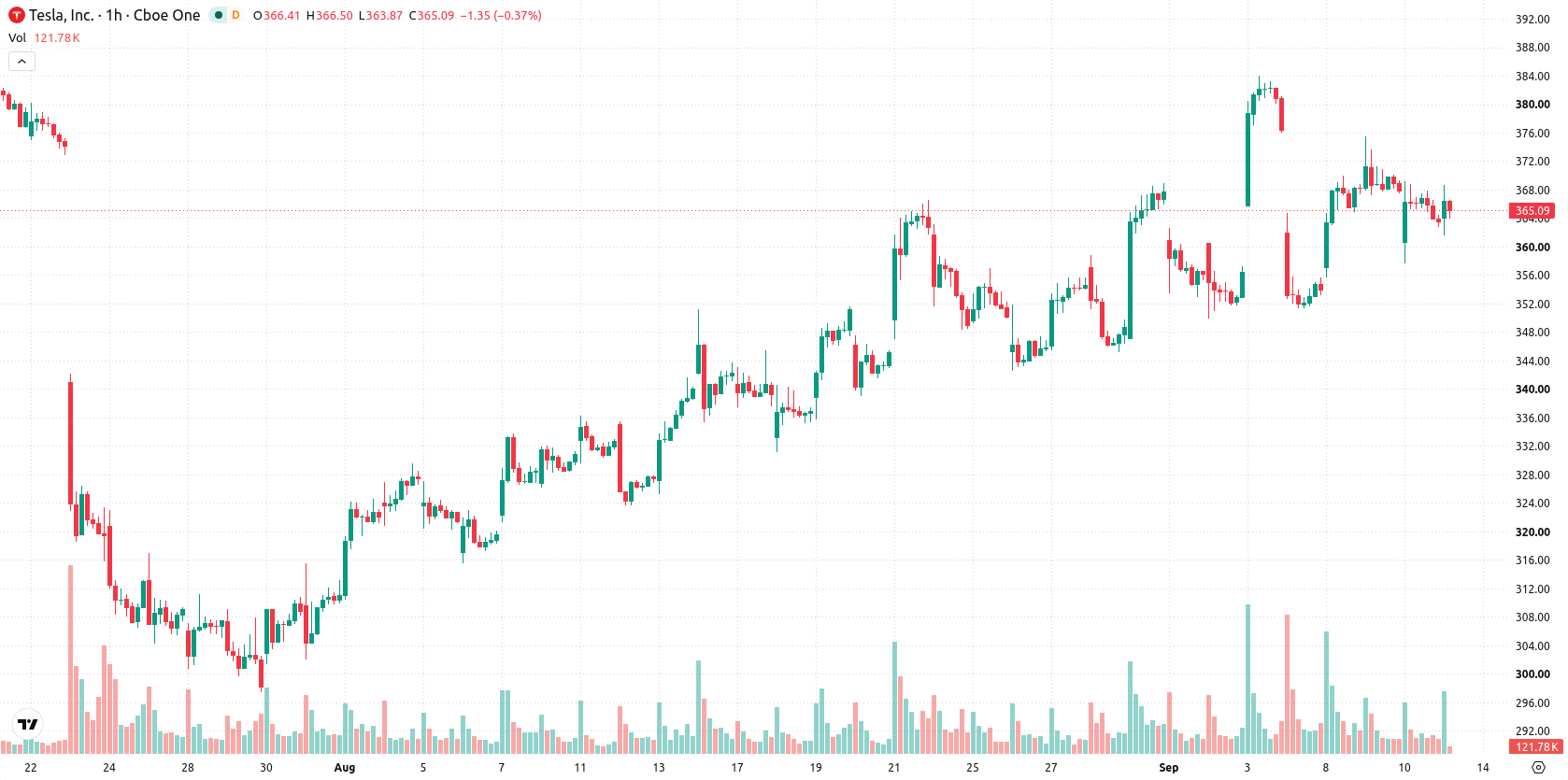 Tesla Inc. asset chart