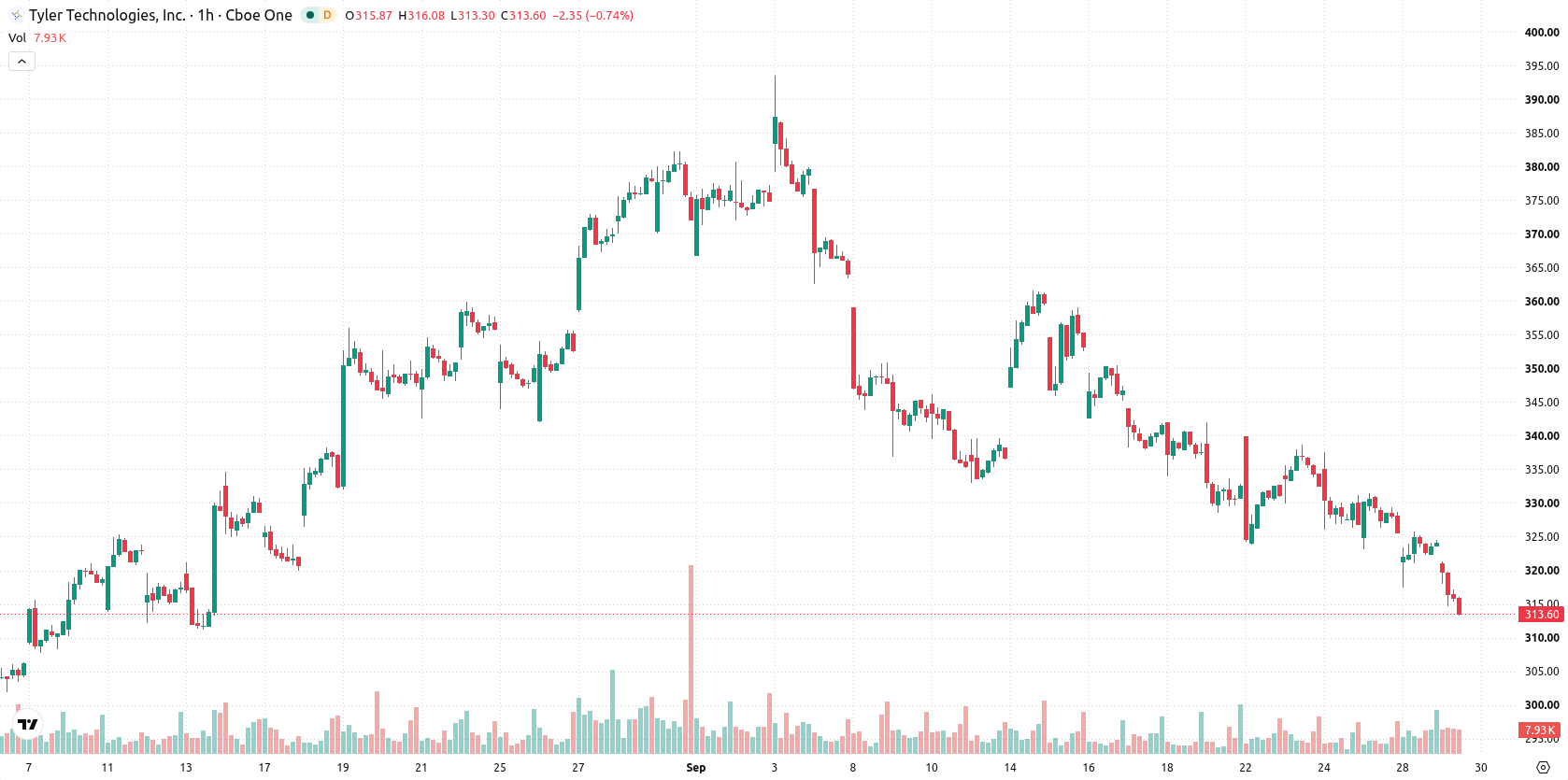Tyler Technologies asset chart