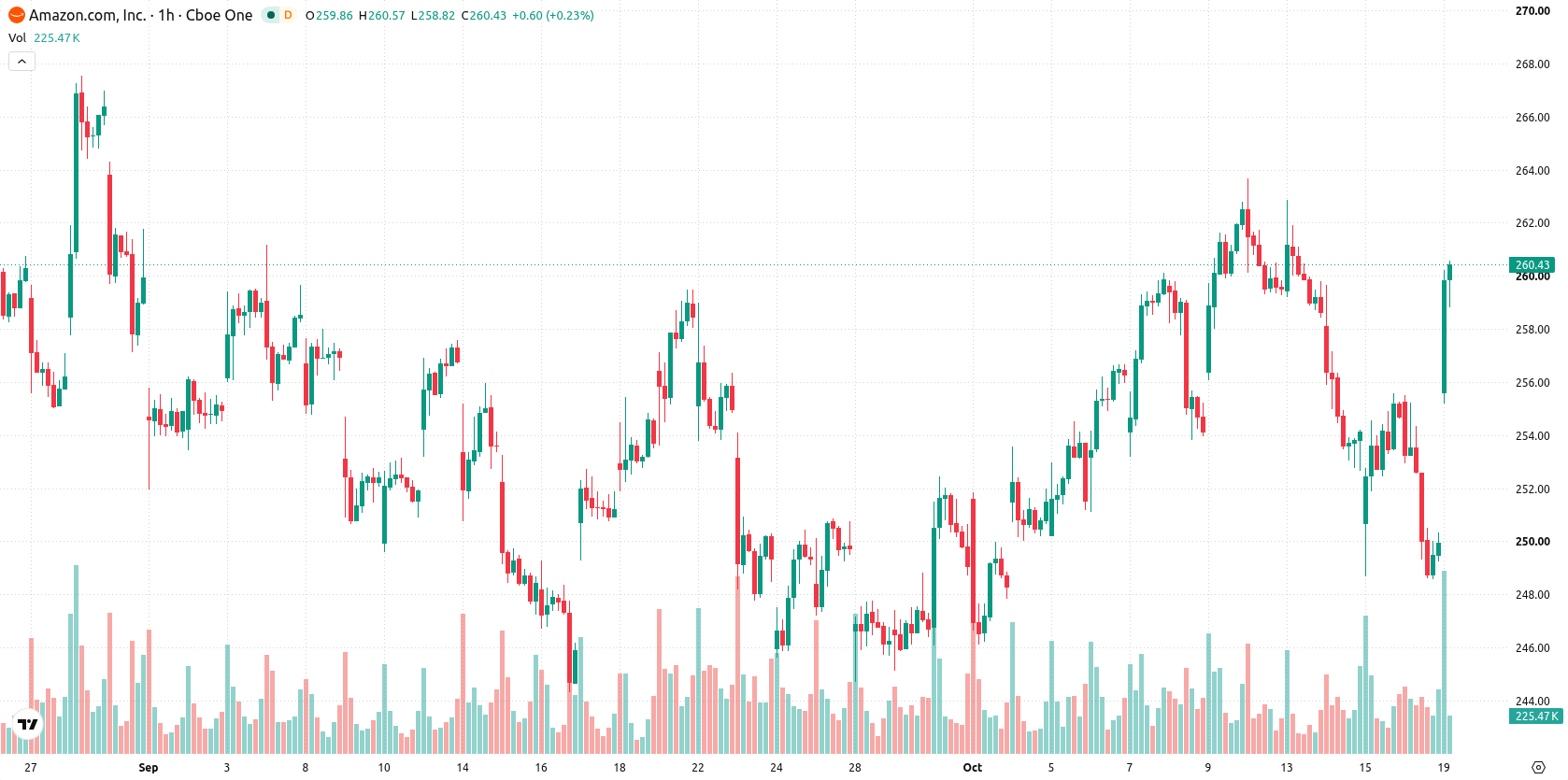 Amazon.com Inc asset chart