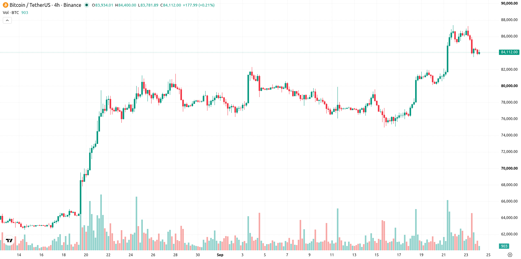 Bitcoin asset chart