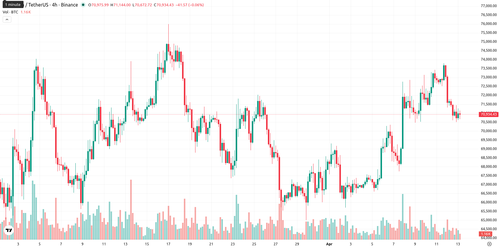 Bitcoin asset chart