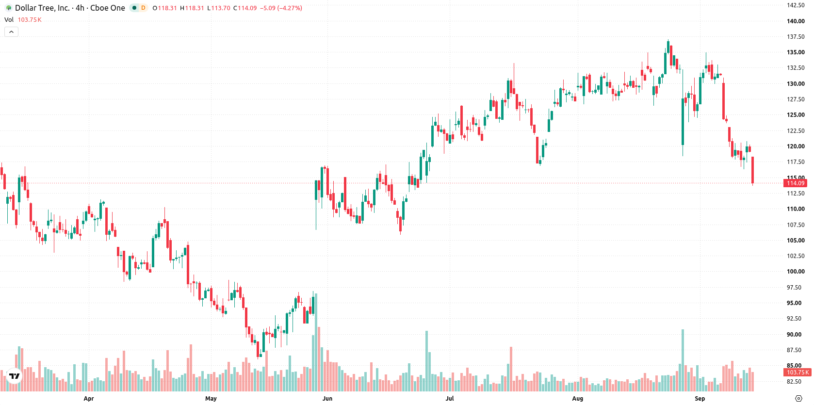 Dollar Tree Inc asset chart