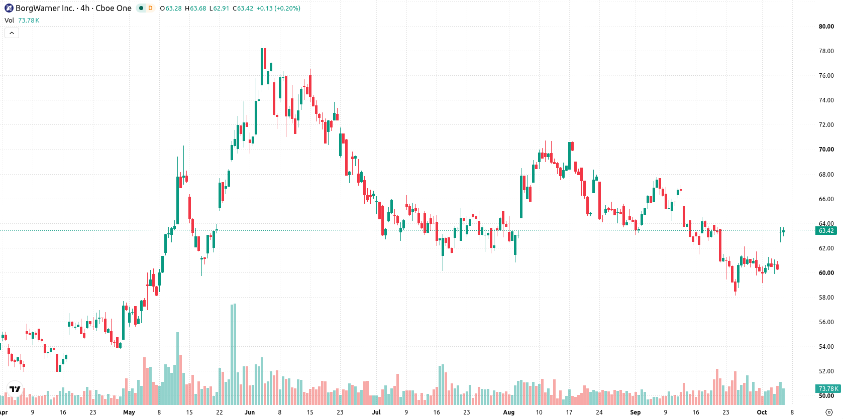 BorgWarner Inc asset chart