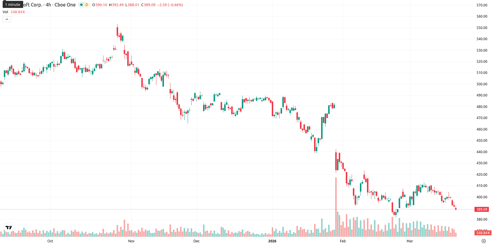 Microsoft Corp asset chart