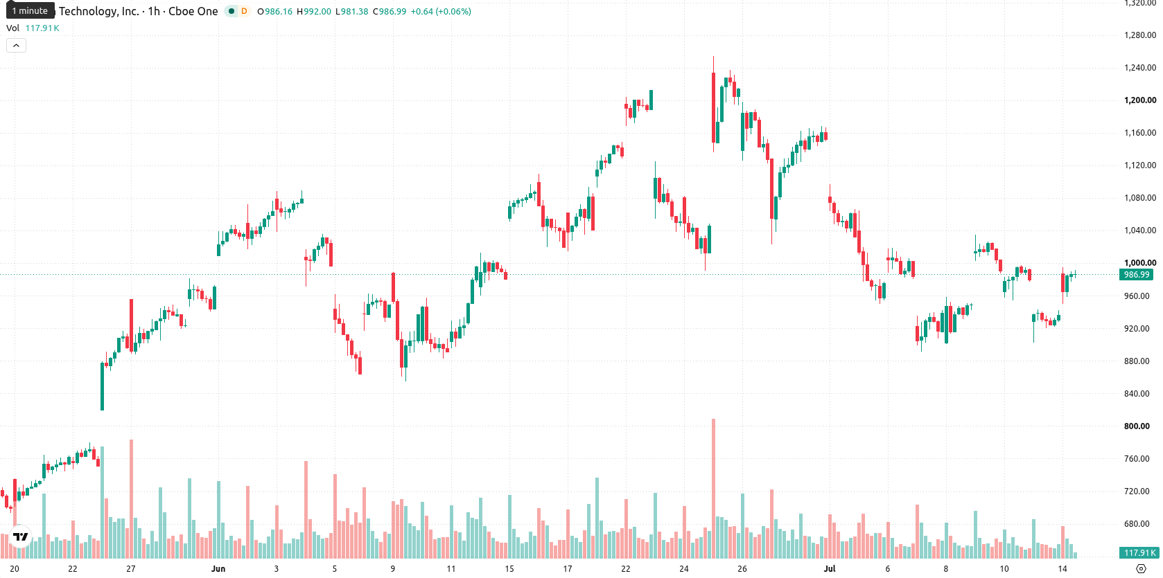 Micron Technology asset chart
