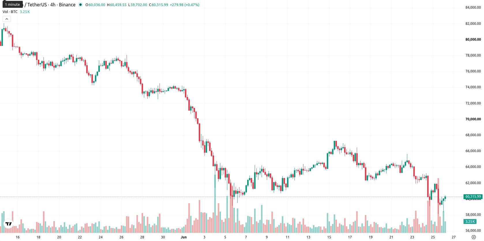Bitcoin asset chart