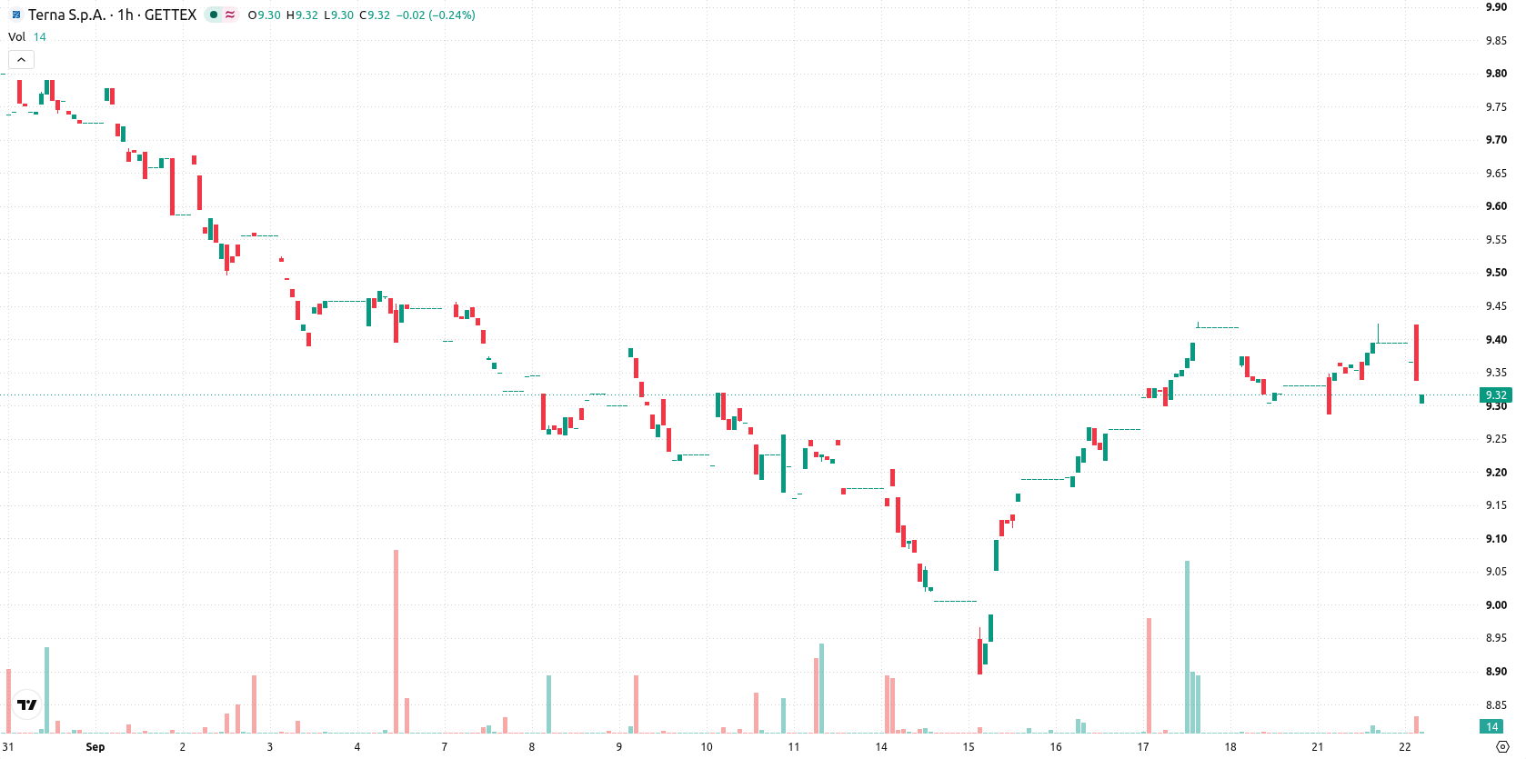 Terna asset chart