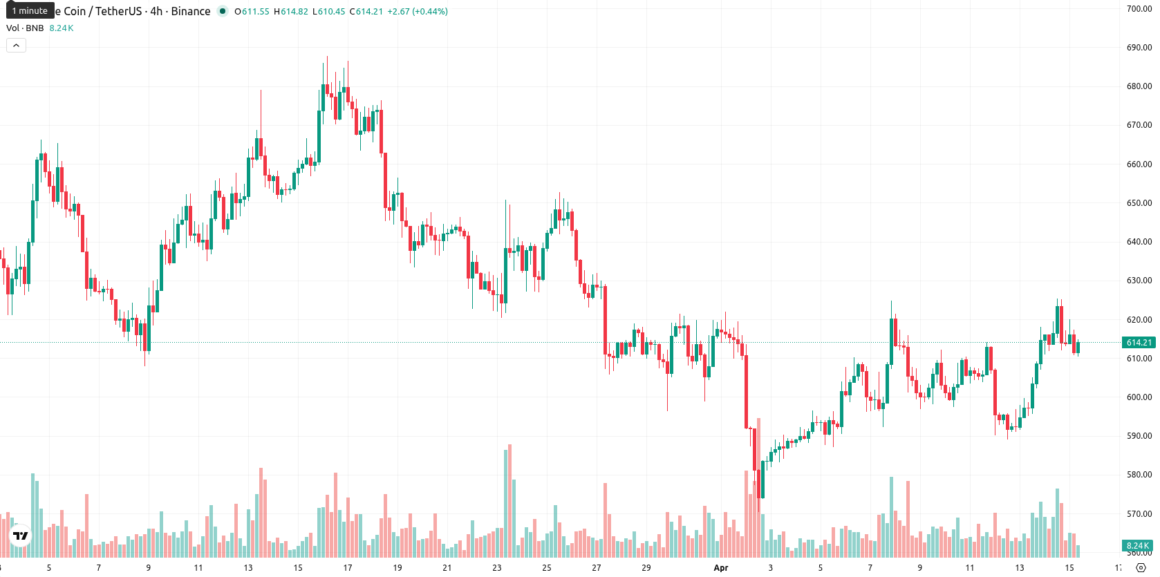 Binance Coin asset chart