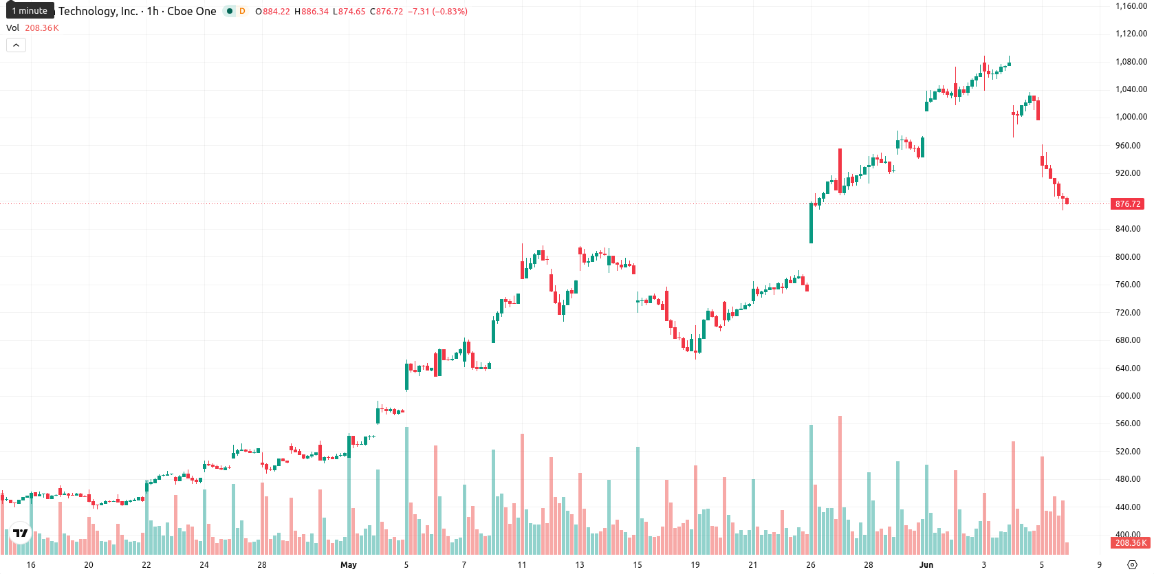 Micron Technology asset chart