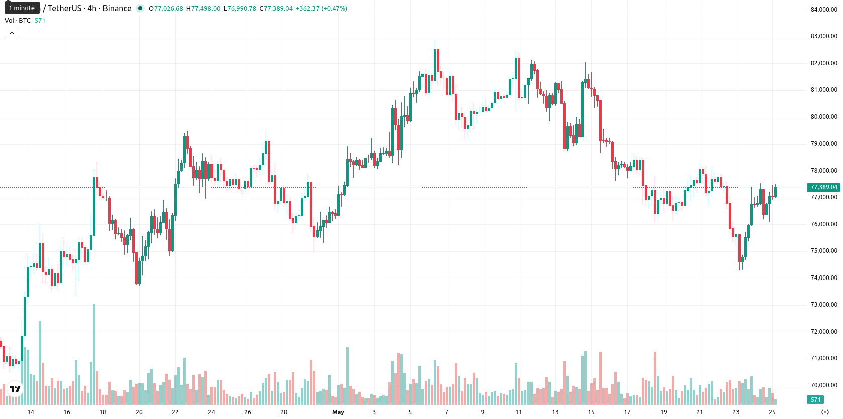 Bitcoin asset chart