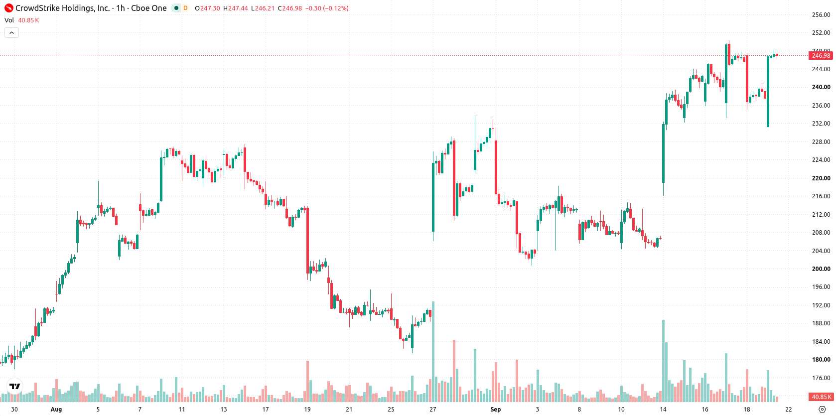 CrowdStrike asset chart