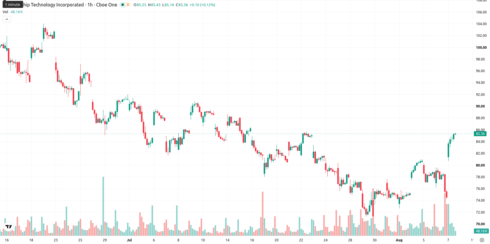 Microchip Technology Inc asset chart