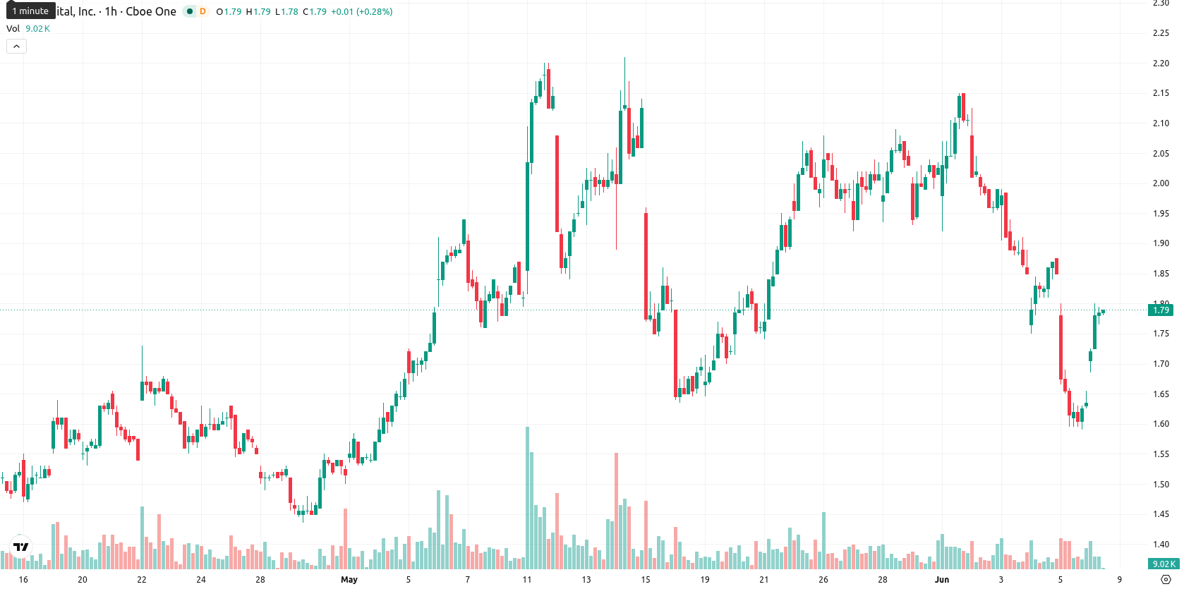 Bit Digital Inc. asset chart