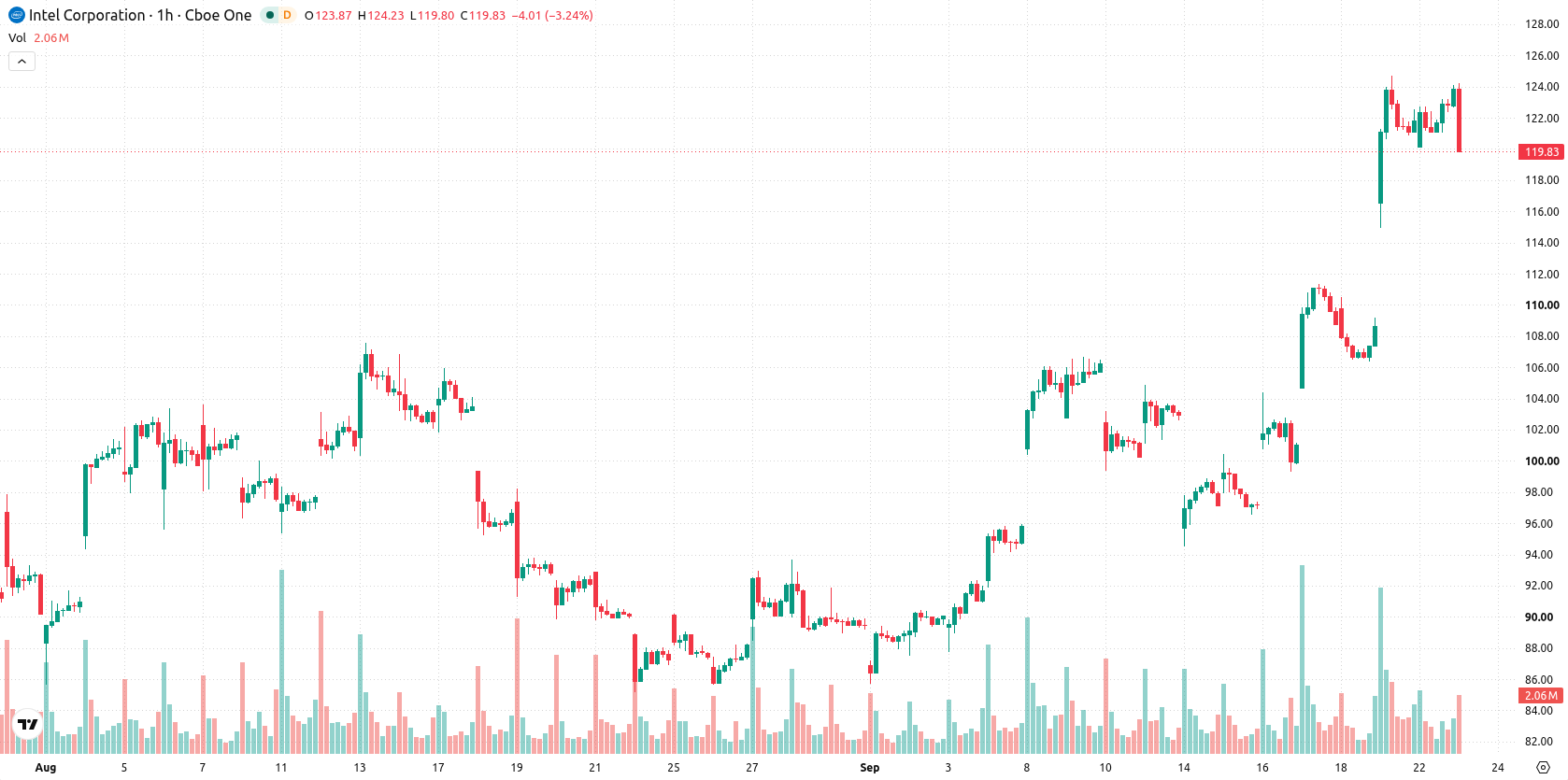 Intel Corporation asset chart