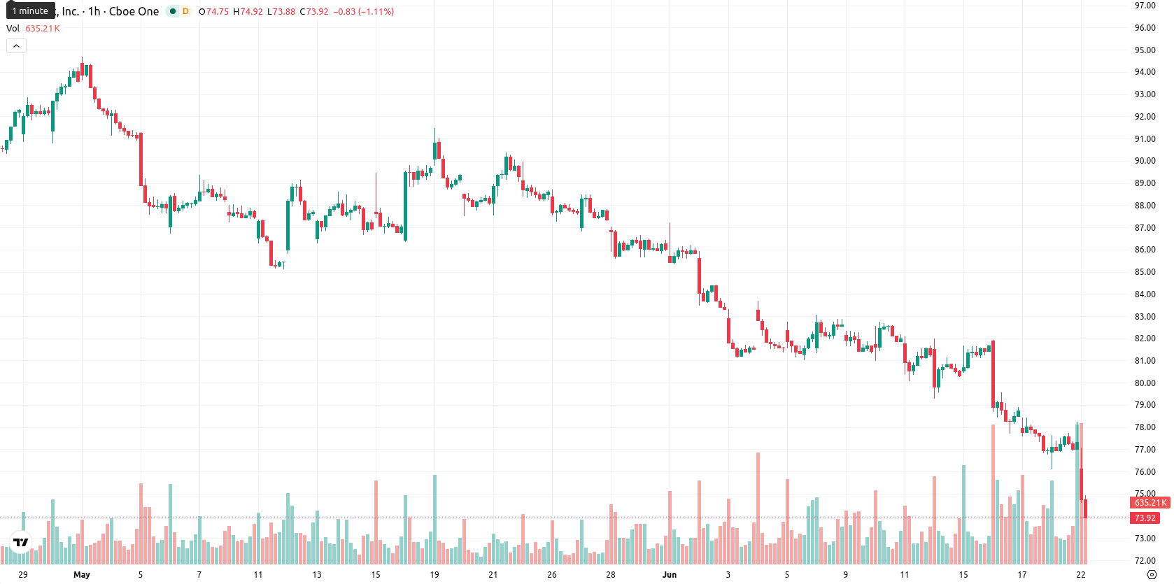 Netflix Inc asset chart