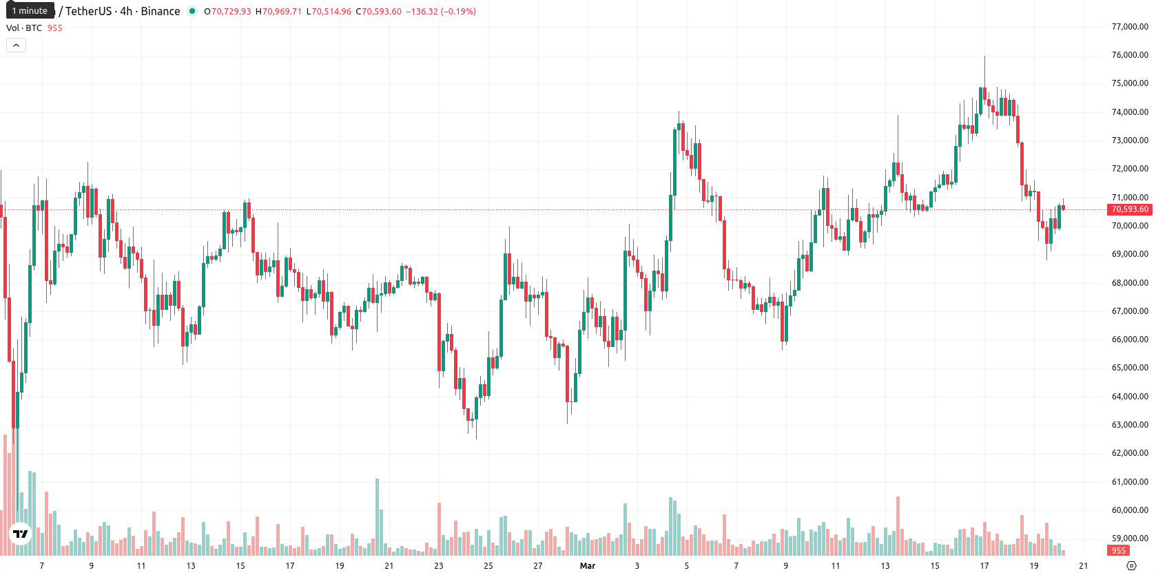 Bitcoin asset chart