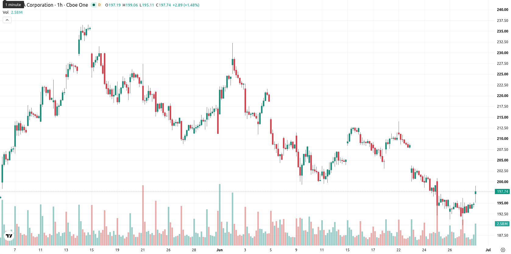 Nvidia Corp asset chart