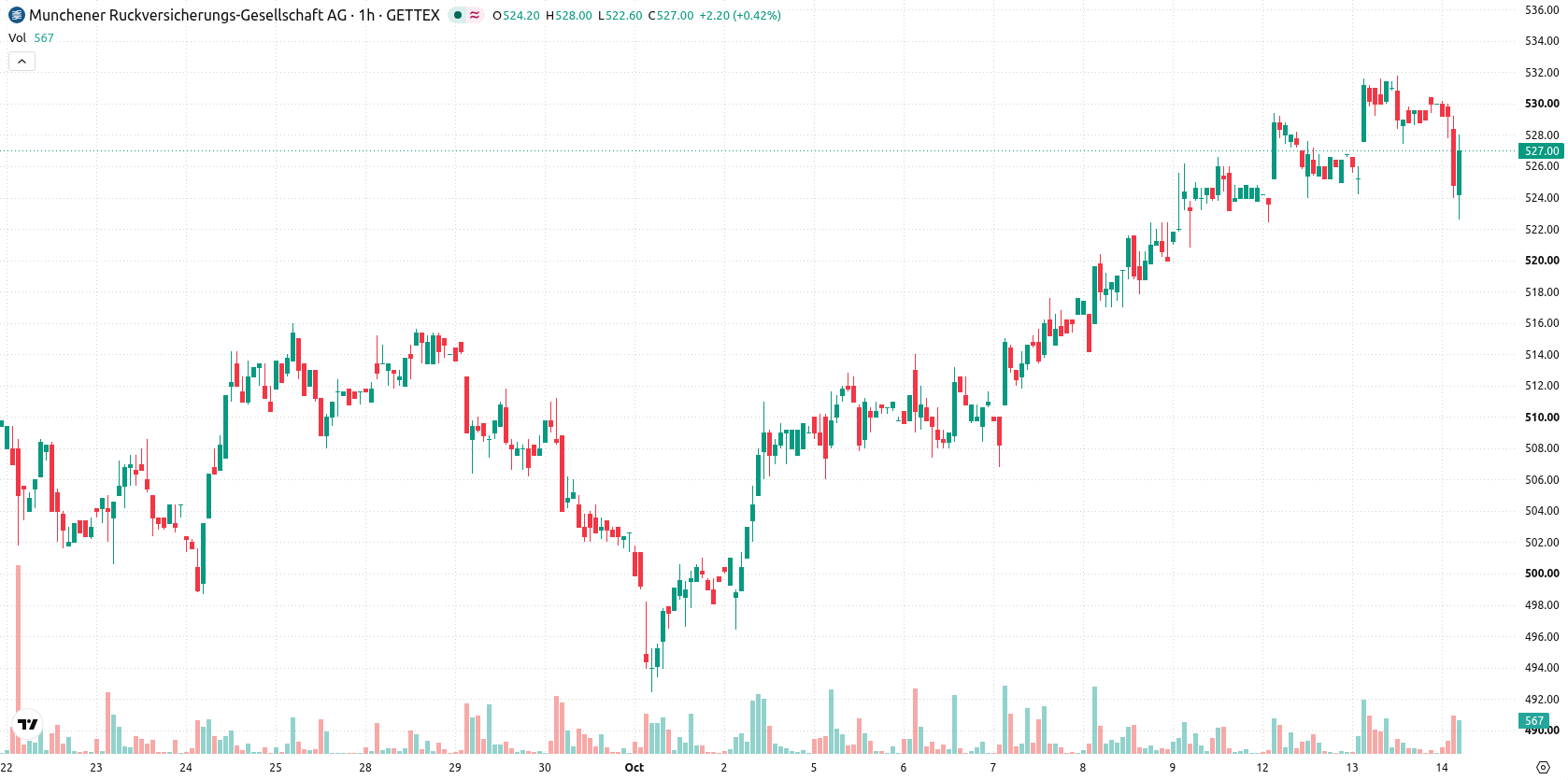 Munich Re asset chart