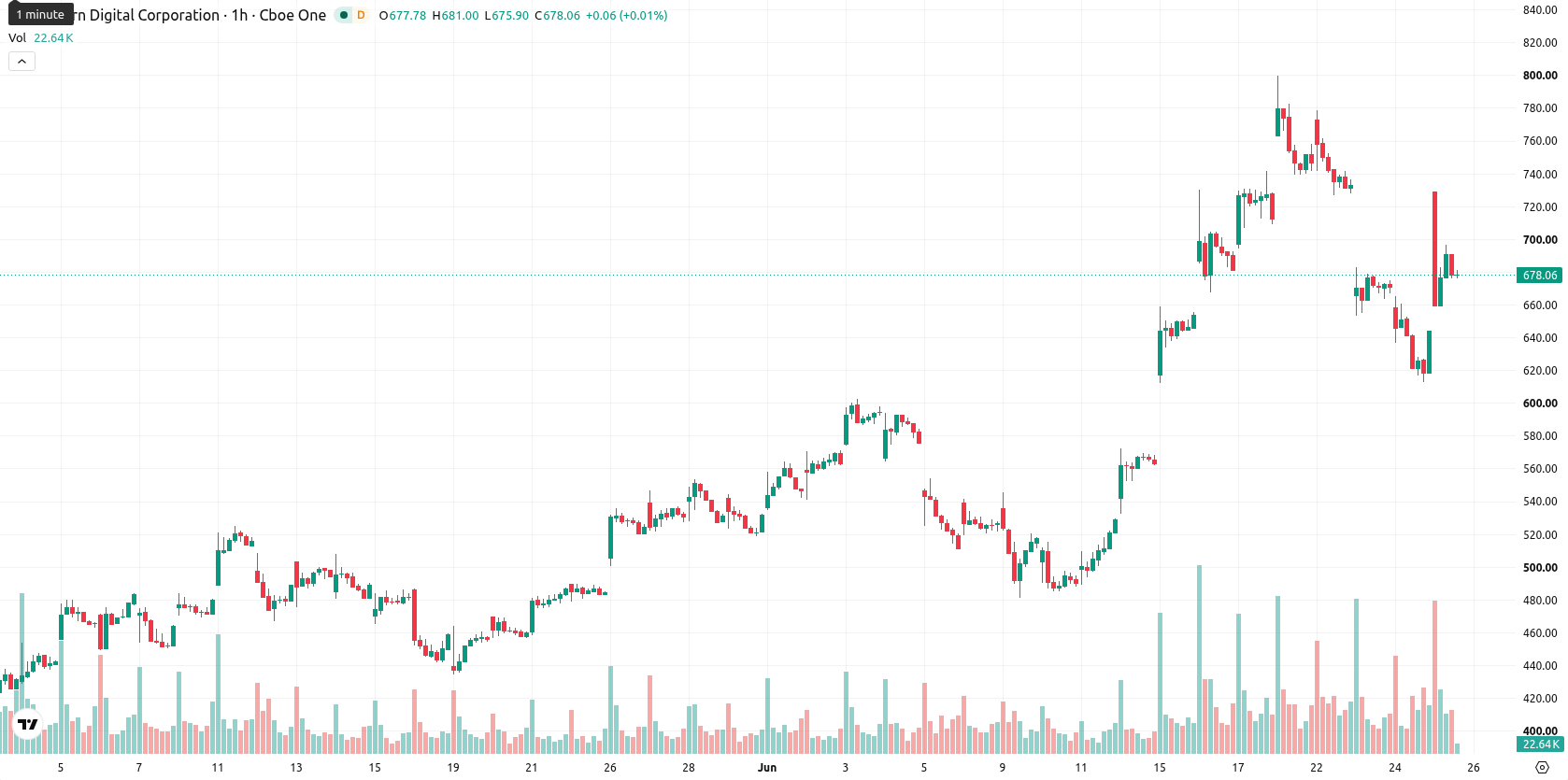 Western Digital Corporation asset chart