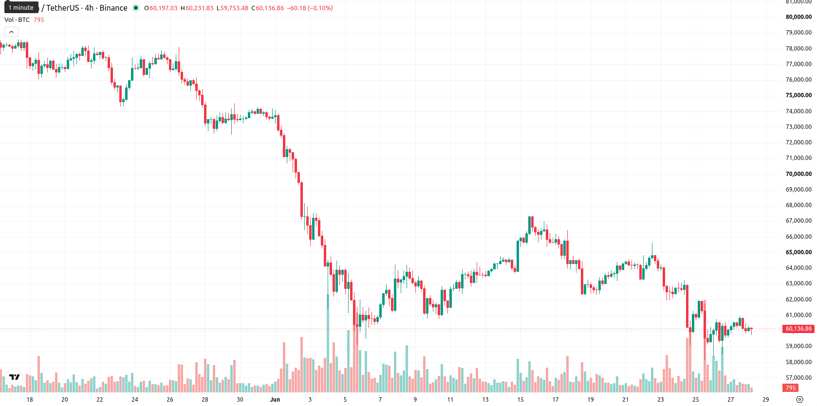 Bitcoin asset chart
