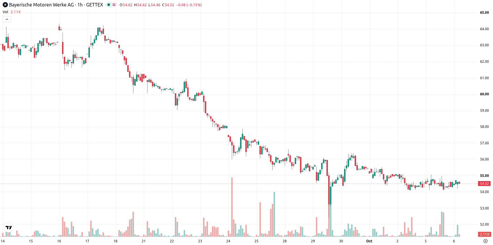 BMW AG asset chart
