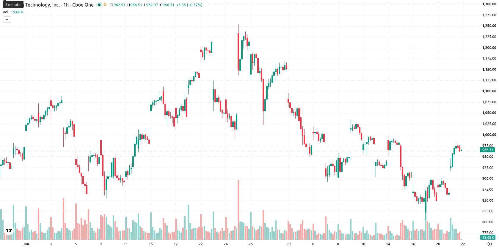 Micron Technology asset chart
