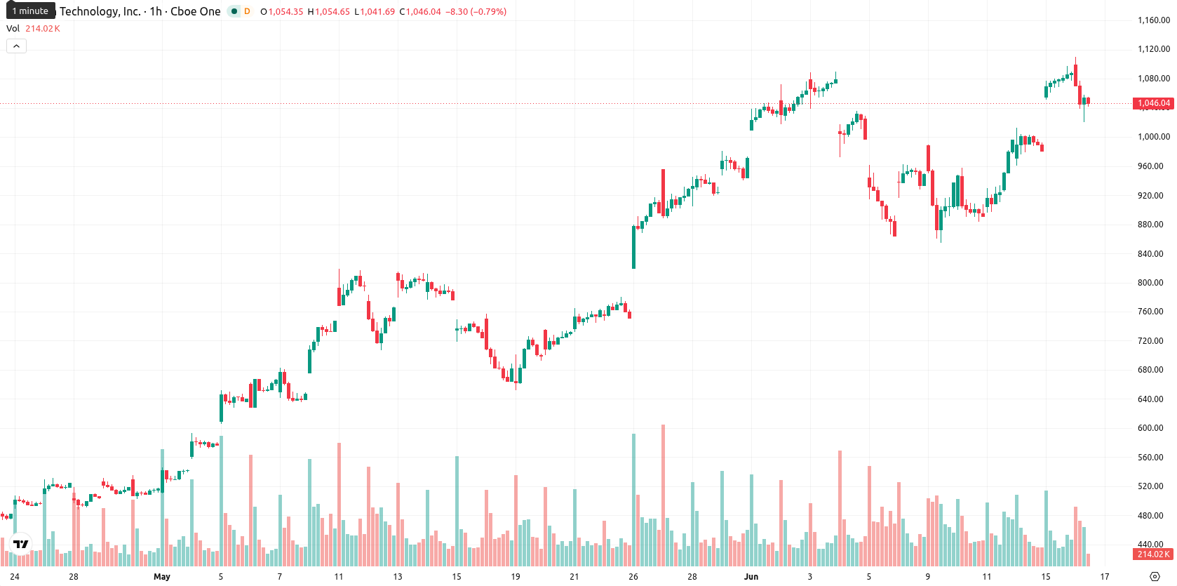 Micron Technology asset chart