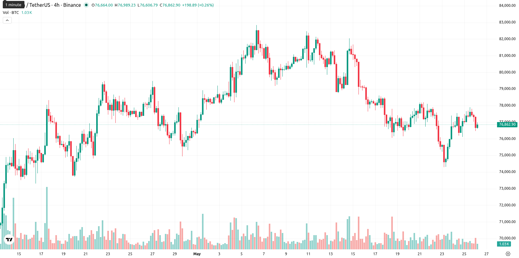 Bitcoin asset chart