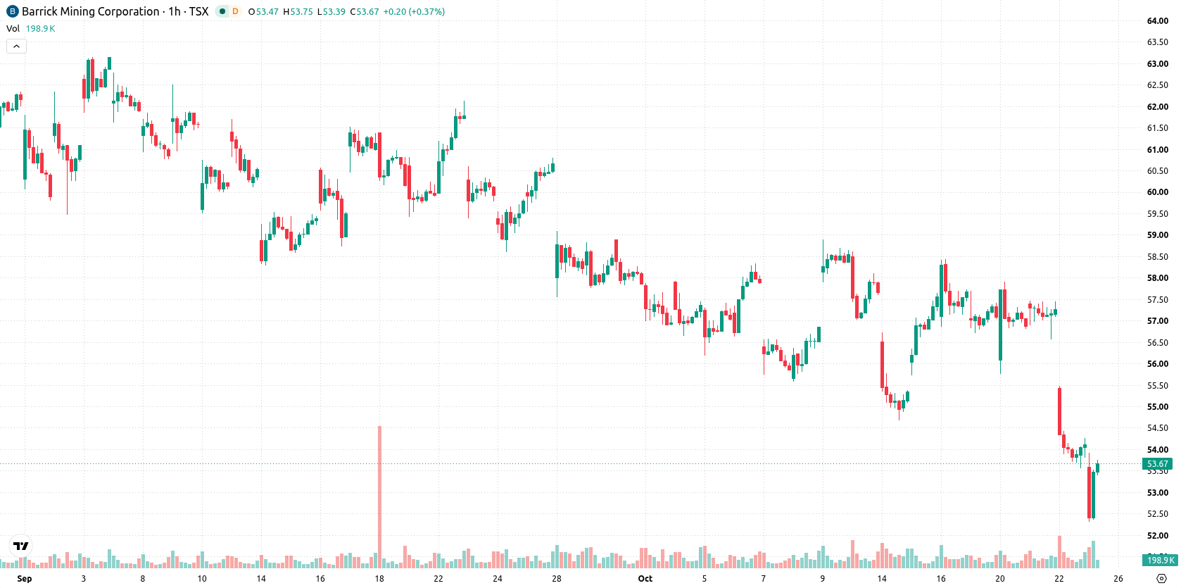 Barrick Gold Corporation asset chart