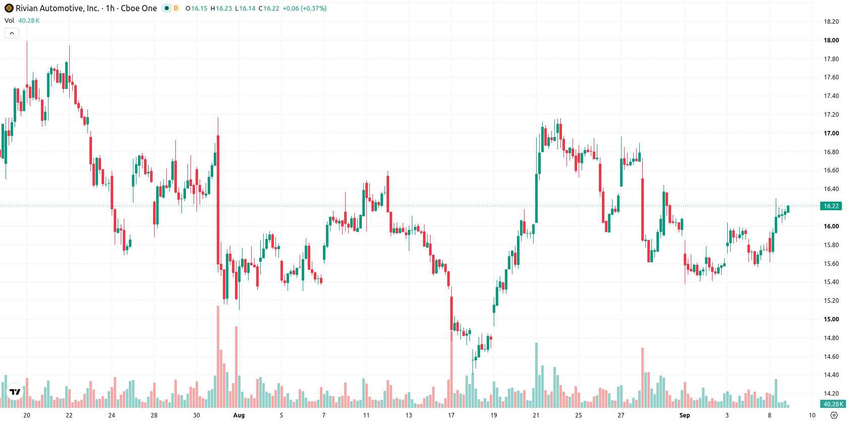Rivian Automotive asset chart