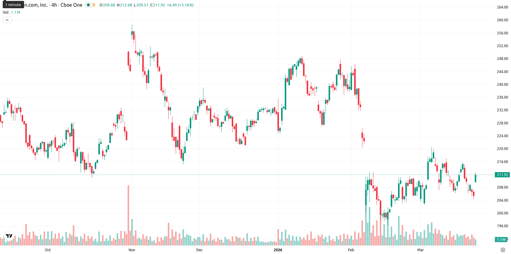 Amazon.com Inc asset chart