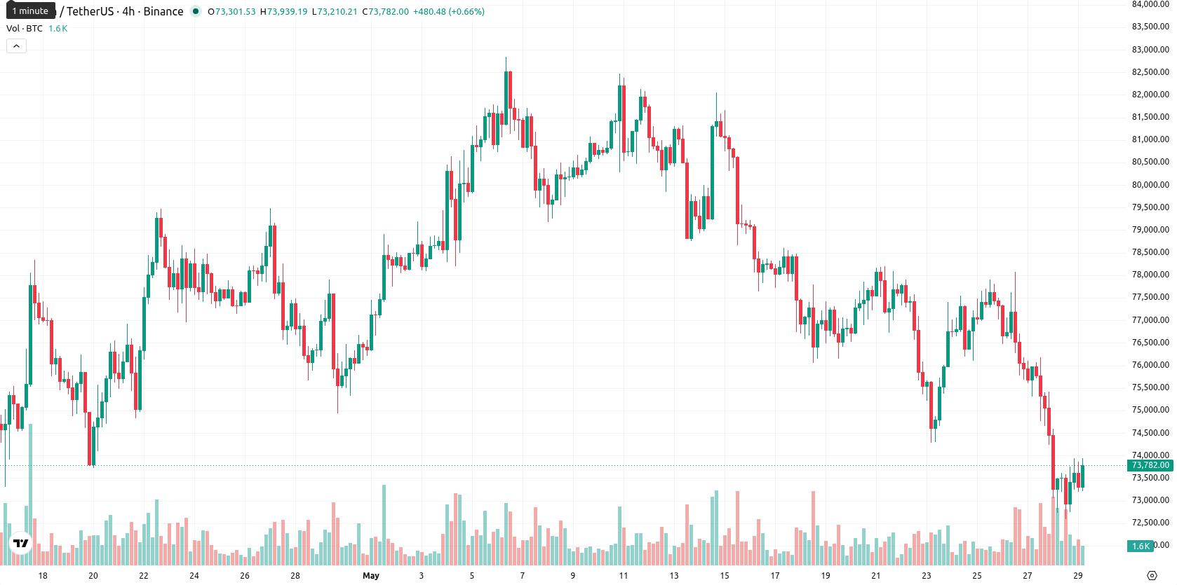 Bitcoin asset chart